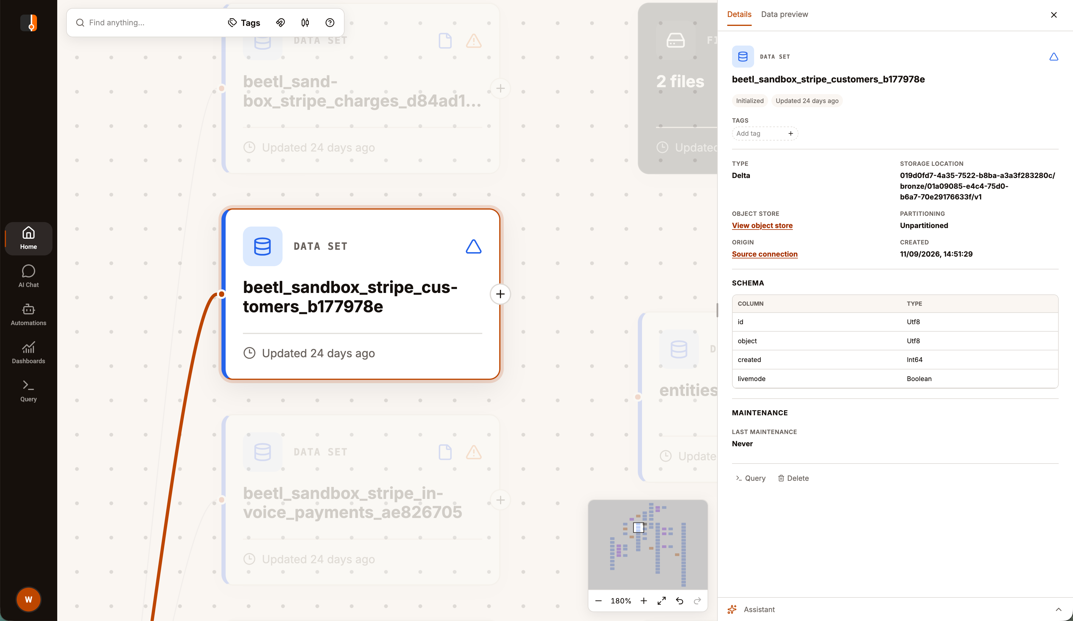 Selected customers dataset on the Data Landscape with its Details pane showing Initialized status, storage information and a four-column schema