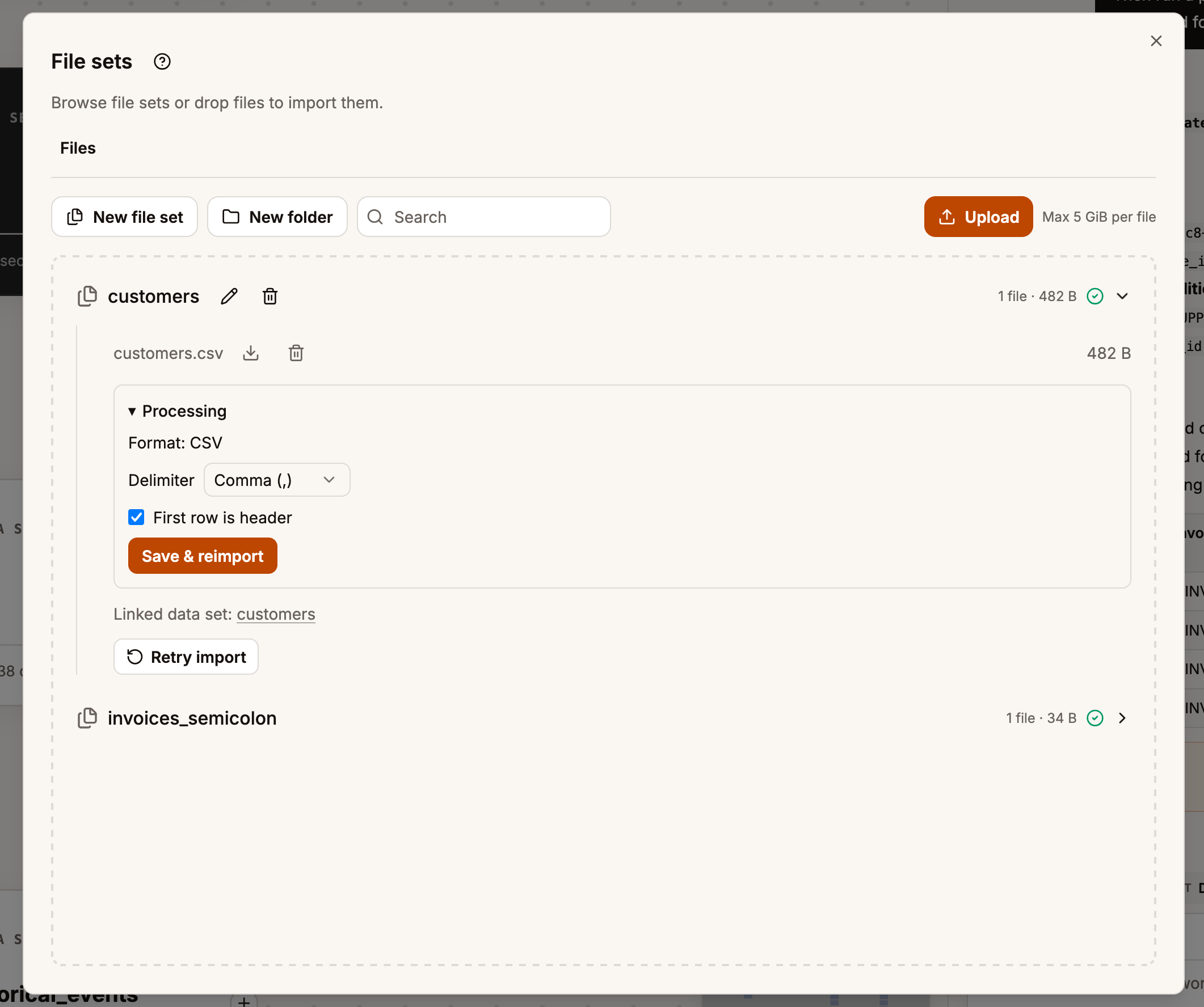 Expanded customers File Set showing customers.csv, a successful import, CSV processing options and the linked customers dataset